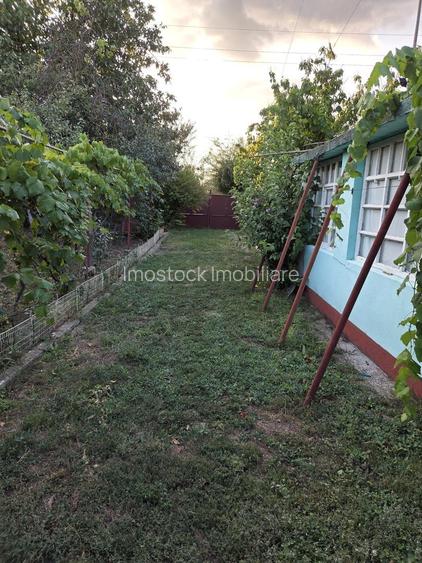 Casă și teren 2177 mp Ortisoara -28ml front-comision 0 - 13