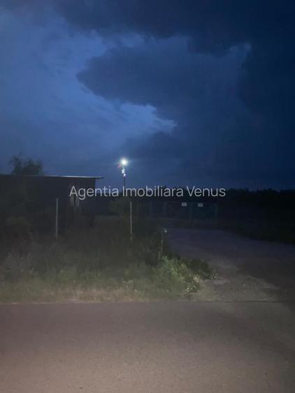 Livada de nuci cu suprafata de 4 hectare - 9