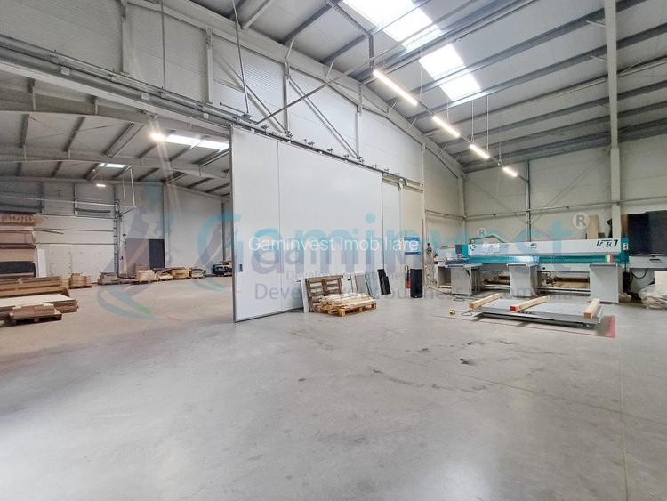 Hala de vanzare cu exclusivitate, la 24 km de Oradea, in Salard, Bihor - 5
