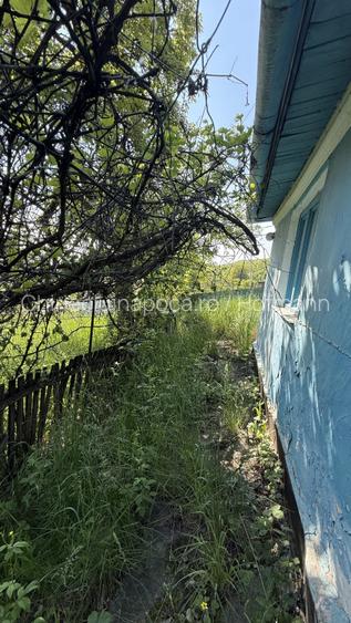 Teren cu pârâu si casa batraneasca, 25 min de Cluj, zona Boju/Cojocna - 4