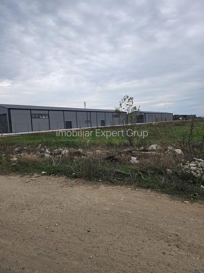 2 hale noi 2025 Magurele ( Constructoriilor ) - 2