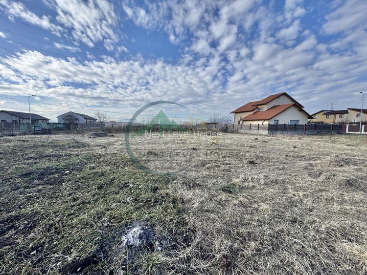 Teren Sanpetru Primaverii toate utilitatile - 4