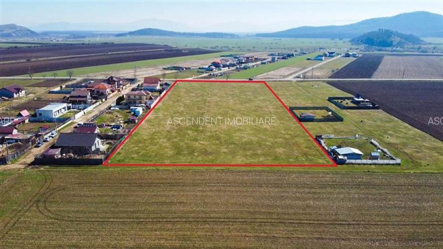 Teren intravilan 18.200mp, cu PUZ si PUD, ideal constructi case, Bod, Brasov. - 6