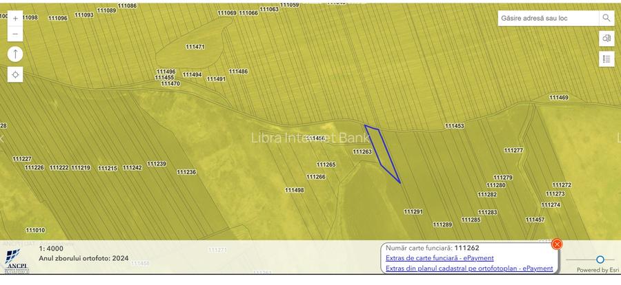 Teren Cavadinesti si Fartanesti-Galati - 2