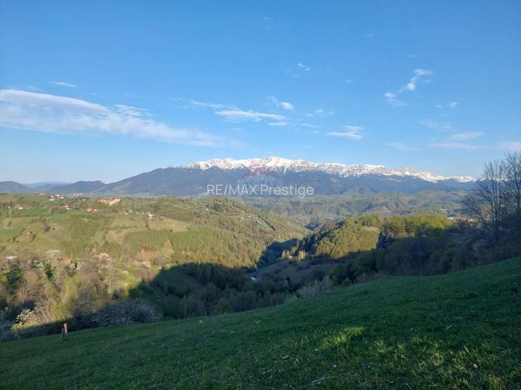 Teren Pestera 3423 mp/ cu acces din Strada Principala - 2