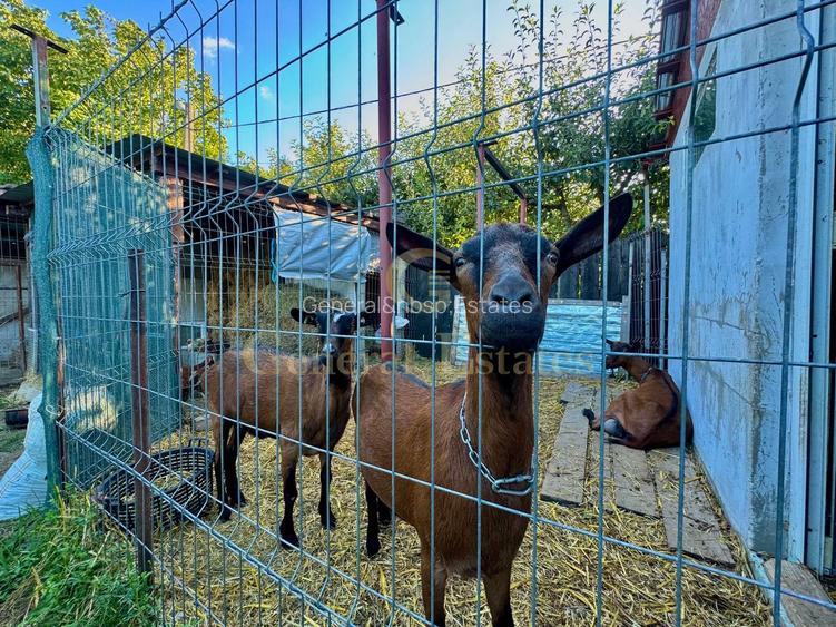 Vânzare Casă  D+P+E - 230 m.p. - Bucium - 20