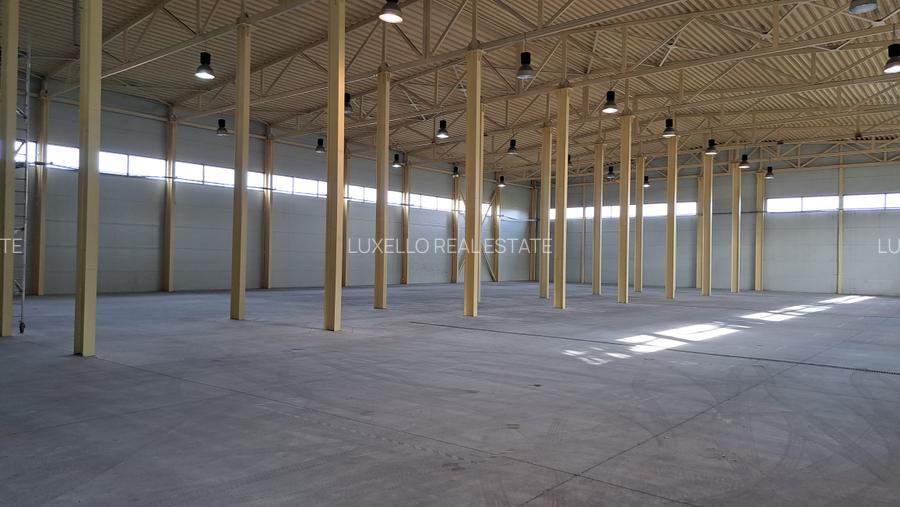 HALA DEPOZITARE CU ETAJ PARTIAL PENTRU BIROURI AMPLASAMENT: OTOPENI - 3