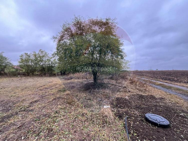 Teren intravilan 1700 mp, de vanzare, A2, Sarulesti, Polcesti - 4