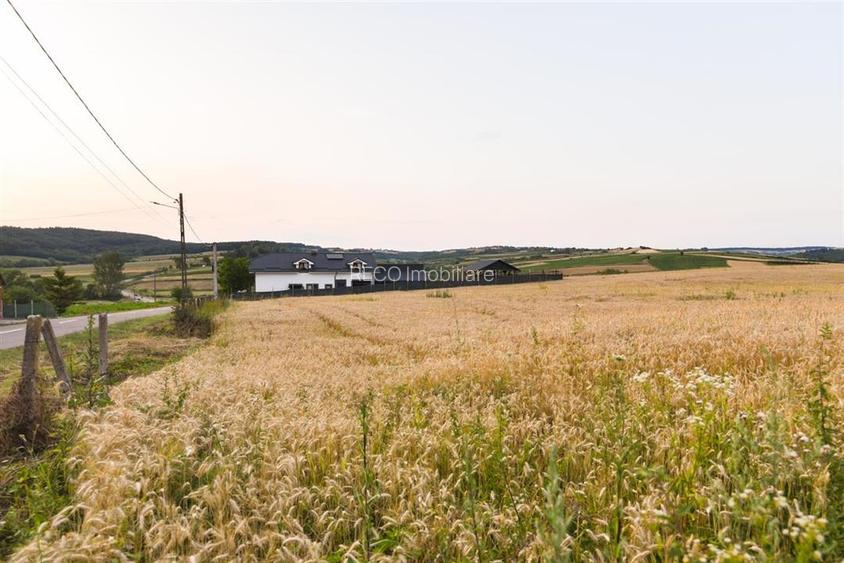 RECO Teren intravilan pentru casa  Lazareni - 11