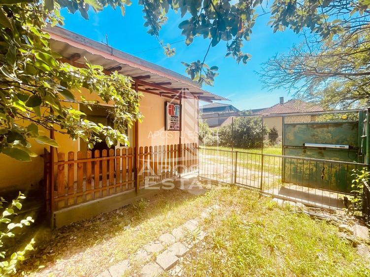 Casa de vanzare- zona Alfa, Penny - 16