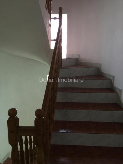 OVIDIU PARTEA CU GHIOLUL vila - 8