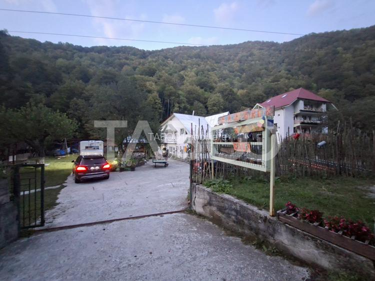 Spatiu de vanzare in Valea Macesului judel Valcea iesire la Lotru - 49
