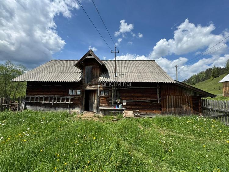 Vânzare teren 3,5 ha cu casă și anexe, Breaza de Sus, Suceava (malul Moldovei) - 3