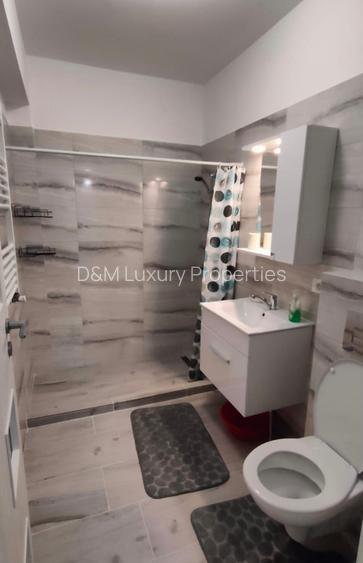 Inchiriere Garsoniera Biruintei Popesti - 8