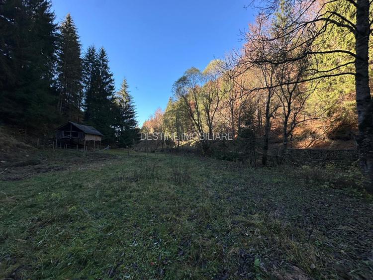 Teren 2.882 mp – oportunitate investitie - Cheile Dambovicioarei - 8