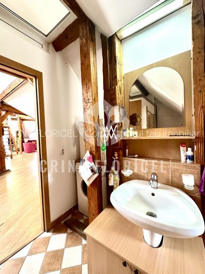 Vanzare mansarda 3 camere - str Serg.Maj.Ancuta Ilie - zona Parcul Carol - 11