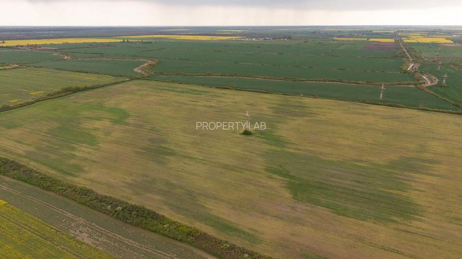 Teren investițional strategic 44.700 mp Arad Vest - 6