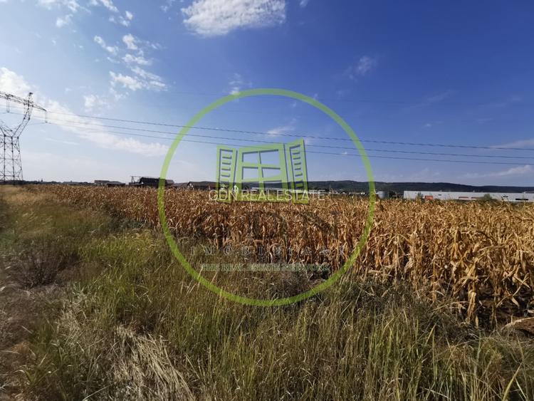 Teren intravilan de vanzare in Osorhei, 5.840 mp, cu front 3 fronturi stradale. - 3