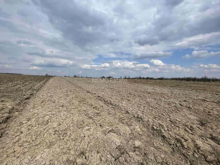 TEREN EXTRAVILAN | 23 ARI | HORODNIC DE SUS - 2