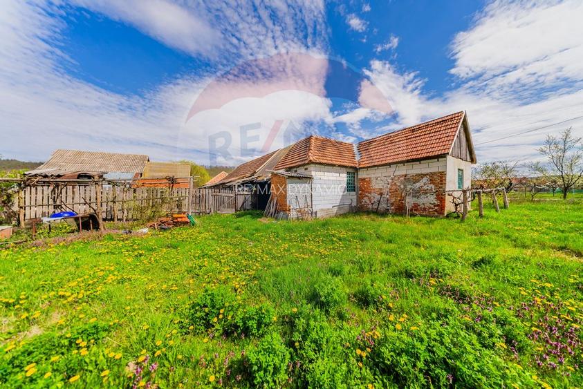 Casă cu teren 4500mp de vanzare in Carand Jud. Arad - 22