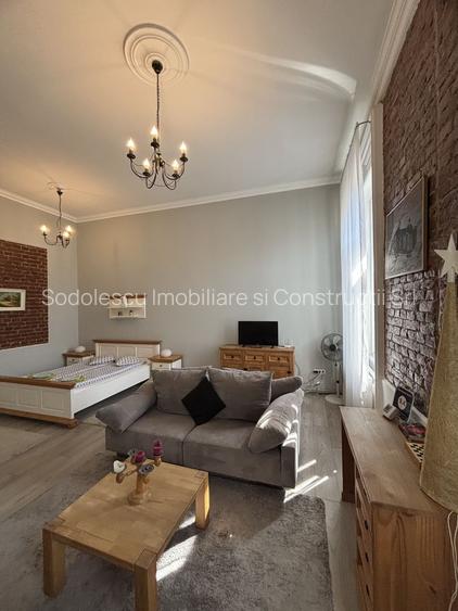 Apartament cu o camera în clădire istorică ,zona Maria - 23