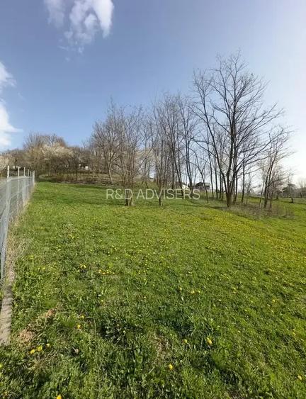 TEREN DE VANZARE -SULTANU,VISINESTI - 3