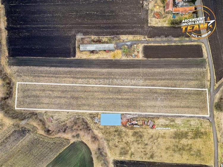 Film! Teren de 5.800 mp, Dobolii de Jos, Covasna - 4