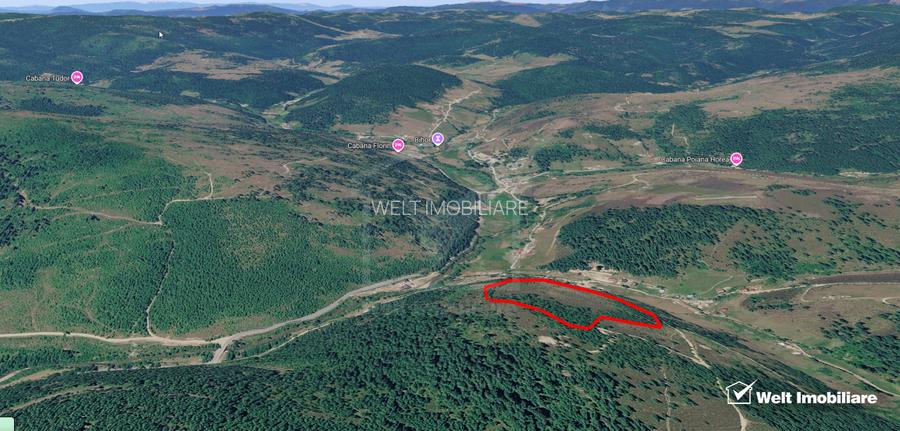 Eco Retreat Land in Apuseni Romania - Poiana Horea - 4