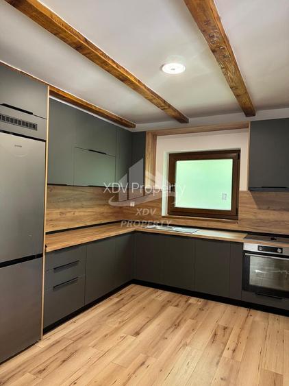 Pensiune/ Vila Valea Avrigului - 3