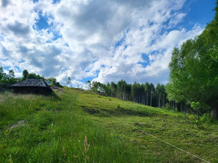 Teren 3 ha Moieciu de Jos | Drumul Carului I Panoramă | Utilitati - 2