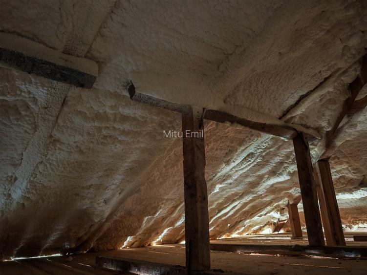 Vila bifamiliala (duplex) P+1  - 7