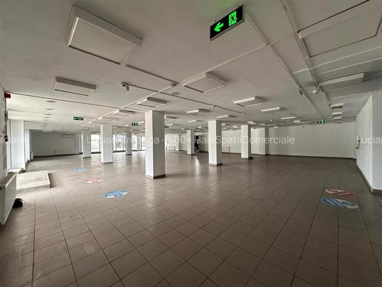 Hala, showroom sos. Pacurari Iasi, zona Mall Moldova, 1310mp - 18