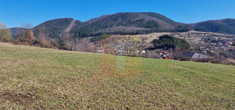 Teren intravilan de 4.000 mp în Bistrița – Alexandru cel Bun - 21