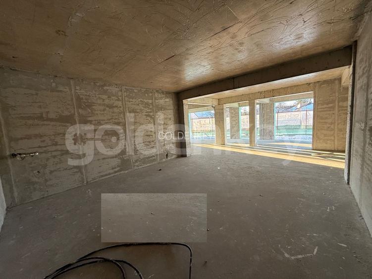 SPATIU COMERCIAL DE VANZARE - 6