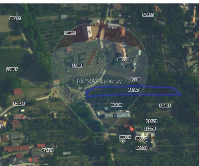 Teren intravilan 1.736 mp Chițești- Bogați (AG), deschidere la asfalt - 9