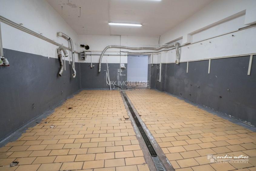 Hala compartimentata Calea Baciului - 8