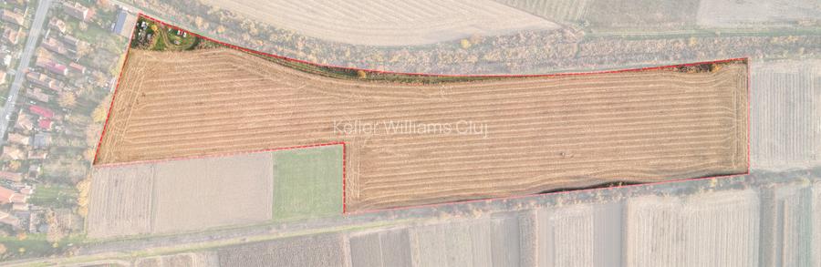 Oportunitate pt Dezvoltatori Teren Intravilan Construibil in Miercurea Nirajului - 2