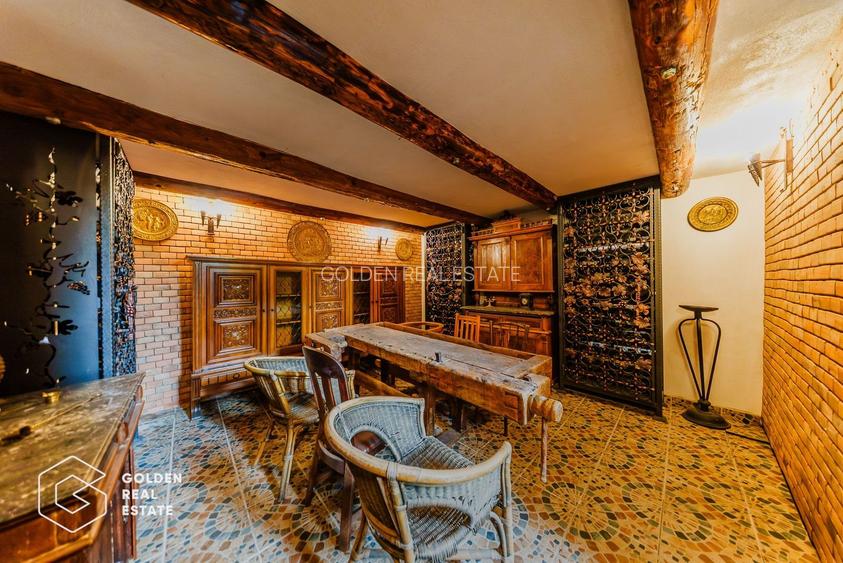 Afacere la cheie: Pensiune functionala sau casa de locuit, Ghioroc - 52