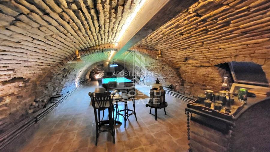 Casa individuala,independenta energetic, 5 camere,teren3783,Peciu Nou - 16