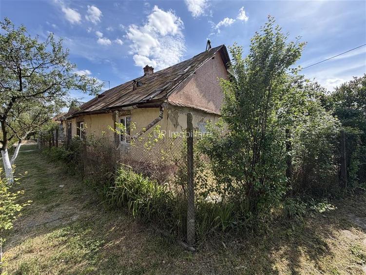 CASA CU TEREN 1230 MP | ACCES AUTO | ZONA SALARD | BIHOR - 9