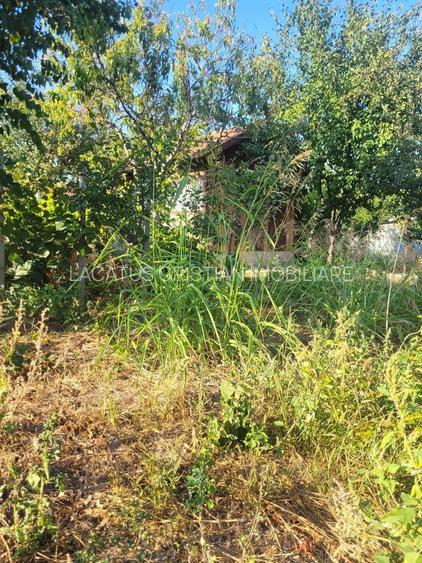 TEREN 510 MP ZONA PALAZU MARE - 11