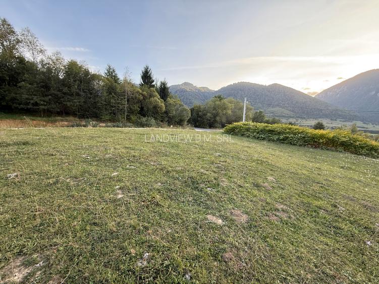 Teren intravilan 500 sau 1000 mp Bran-Tohanita la dum asfaltat - 13