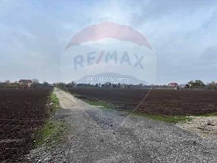 Teren Snagov /Soseaua Vladiceasca 553 sau 1109 mp Liziera Padurii - 2