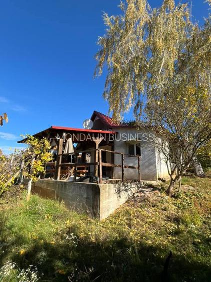 Casă de vacanță, 1100 MP teren, Cauaceu, Biharia, Bihor. - 3