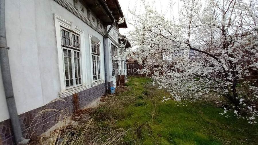 Vitan(Strada Foisorului),1428 mp - 5