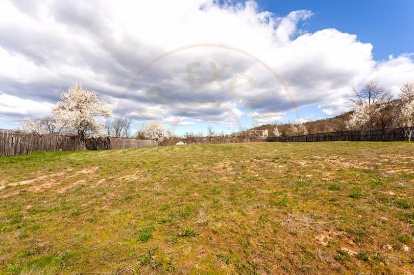 Casă P+1 langa padure cu teren 4.752 mp Cosesti Arges - 14