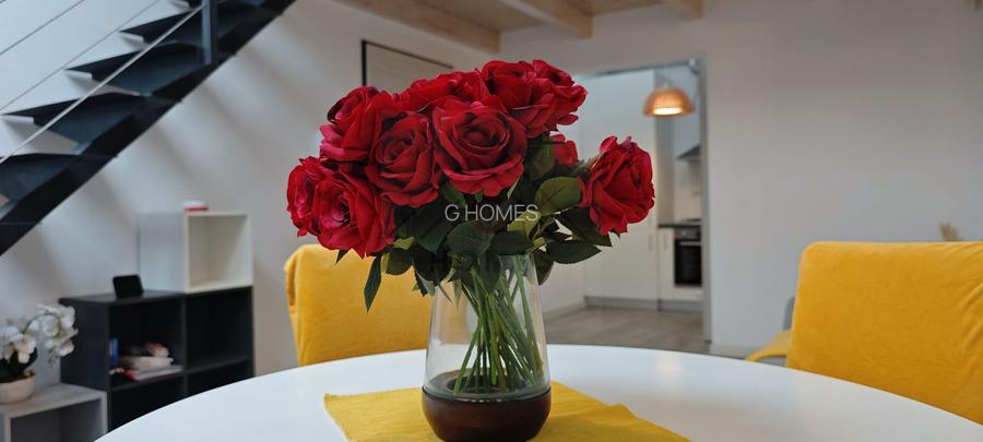 Apartament “de revista”, la casa in Elisabetin- zona consulatelor. - 20