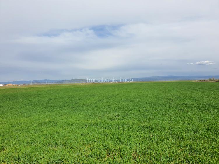 Teren Brasov-Tarlungeni zona Izvor pretabil investitii - 3