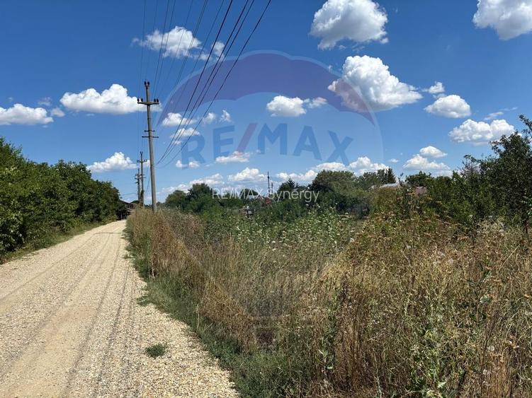 Teren intravilan 1.400mp Izvorani (IF), drum asfaltat, la 3 min de DN1 - 4