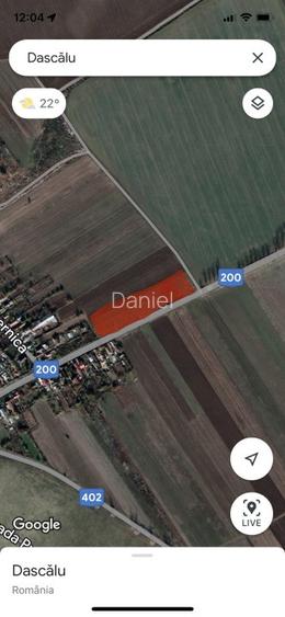 Teren 1000 mp intravilan , Dascalu, deschidere 35 m la DJ 200, 0744353659 - 3